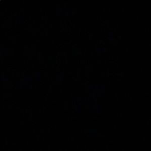 Meet your Posher, Doug